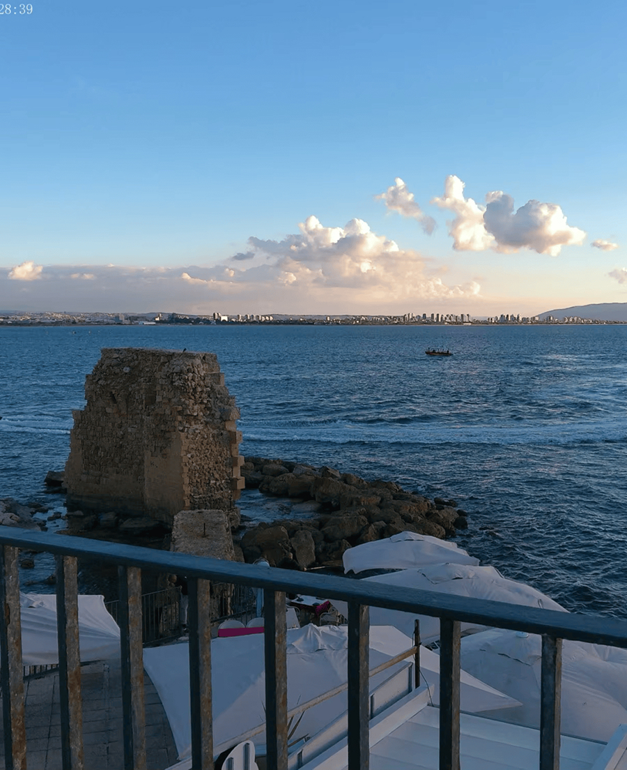 dicamical-img-42