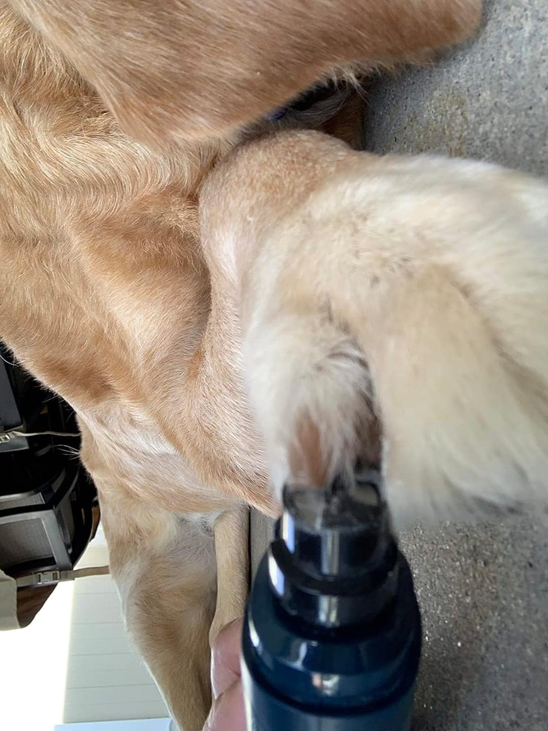 puppi-claw-2-0-img-20