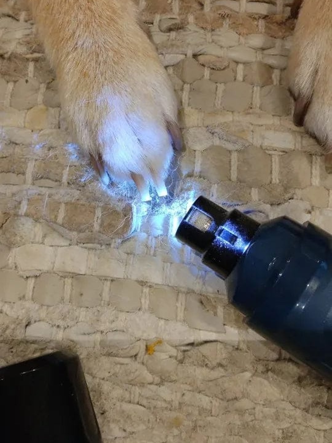 puppi-claw-2-0-img-21