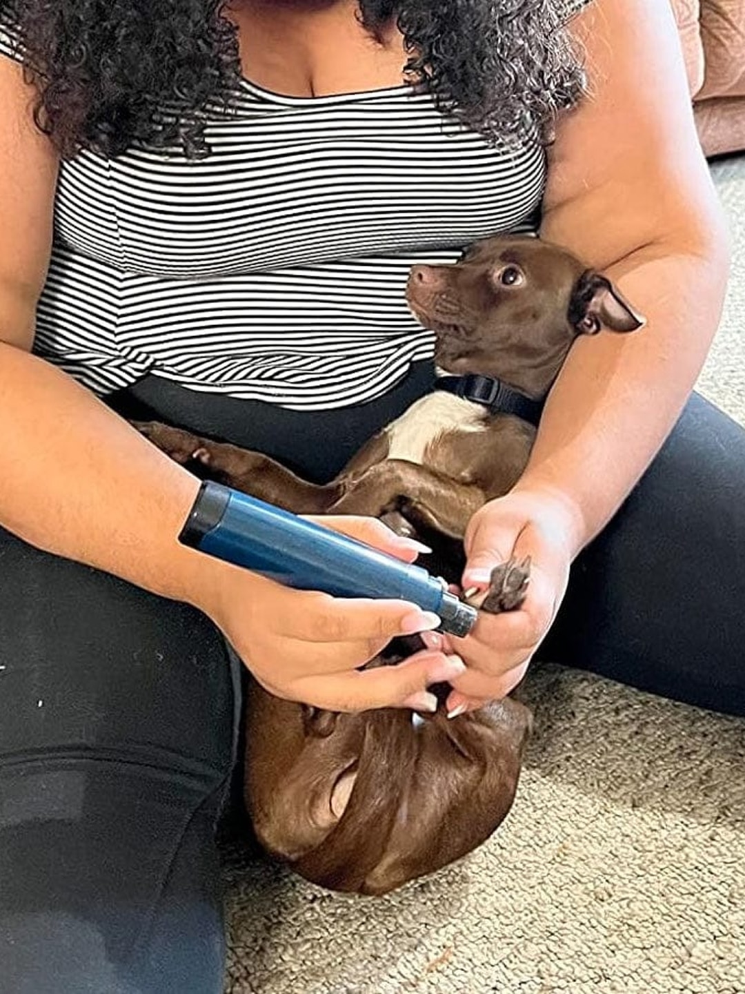 puppi-claw-2-0-img-22