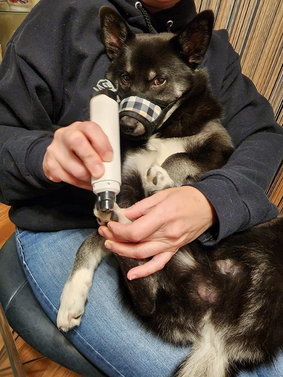 puppi-claw-2-0-img-23