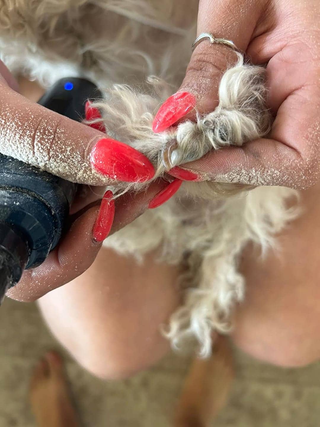 puppi-claw-2-0-img-27